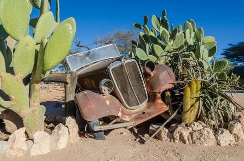 Solitaire, Namibia - July 05 2014: Rusting classic car building part of cactus Stock Photos