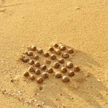 Solitaire Stock Photos