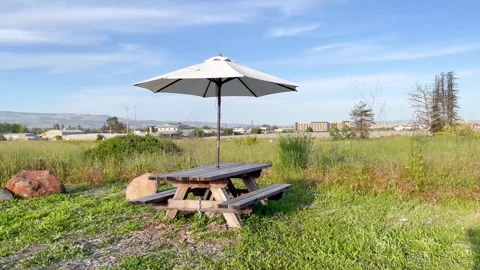 Solitary Picnic Table Stock Footage 246460990