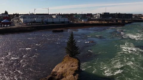 Solitary Pine Tree on Islet in Icelandic Glacial River Rapids - Aerial Drone 4K Stock Footage 331255143