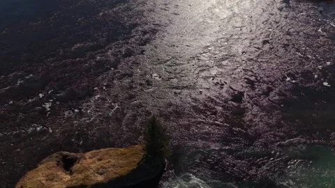 Solitary Pine Tree on Islet in Icelandic Glacial River Rapids - Aerial Drone 4K Stock Footage 331255148
