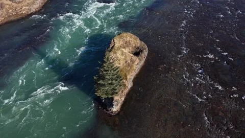 Solitary Pine Tree on Islet in Icelandic Glacial River Rapids - Aerial Drone 4K Stock Footage 331255159