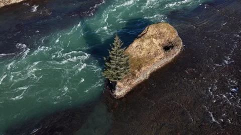 Solitary Pine Tree on Islet in Icelandic Glacial River Rapids - Aerial Drone 4K Stock Footage 331255163