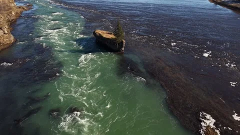 Solitary Pine Tree on Islet in Icelandic Glacial River Rapids - Aerial Drone 4K Stock Footage 331255178