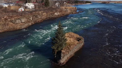 Solitary Pine Tree on Islet in Icelandic Glacial River Rapids - Aerial Drone 4K Stock Footage 331255179