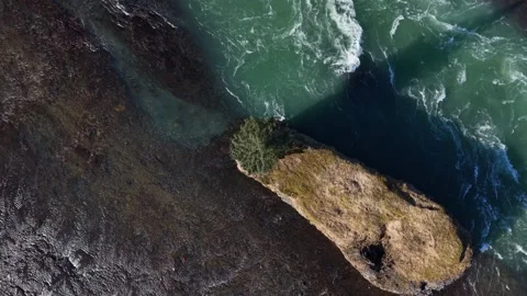 Solitary Pine Tree on Islet in Icelandic Glacial River Rapids - Aerial Drone 4K Stock Footage 331255184