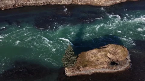 Solitary Pine Tree on Islet in Icelandic Glacial River Rapids - Aerial Drone 4K Stock Footage 331255185