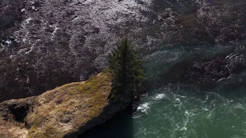 Solitary Pine Tree on Islet in Icelandic Glacial River Rapids - Aerial Drone 4K Stock Footage 331255194