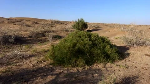 A solitary tractor pulling a cart through the barren, stock footage. Stock Footage 304816962