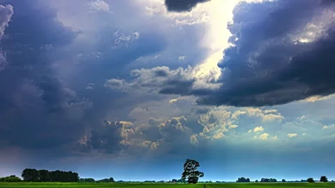 Solitary Tree in a Dramatic, Sunlit, Cumulus Cloud-Filled Sky Over a Green .. Stock Footage 301066477