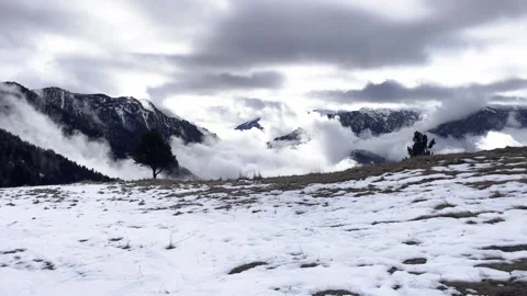 Solitary Tree on a Mountain Ridge with Dramatic Clouds and Fog Inversion Below Stock Footage 324813316
