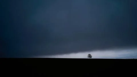 Solitary Tree Under a Dramatic Sky (Limoges, France) Foto stock
