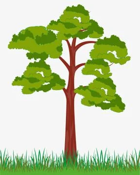 Solitary tree on white Stock Illustration