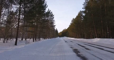 Solitary winter road in the forest between tall trees from the air Stock Footage 74743873