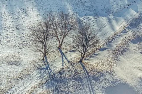 Solitude Stock Photos