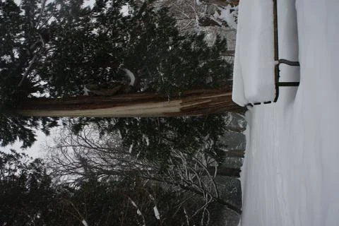 Solitude Stock Photos