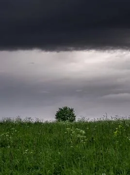 Solitude Under the Storm Stock Photos