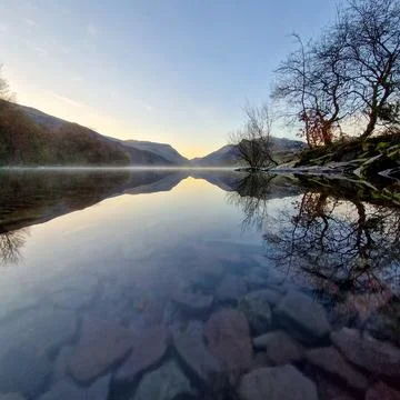 The Solitude of the Welsh Lonely Tree Stock Photos