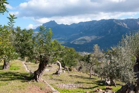 Soller walking path Stock-Fotos