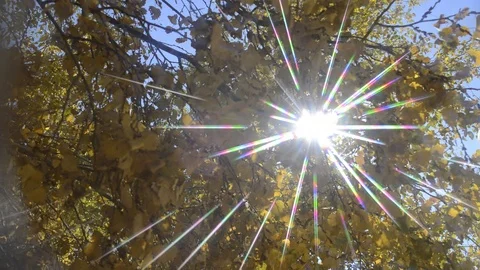 солнечные лучи Stock Footage