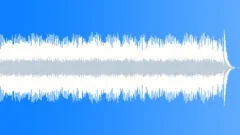 Solo AcousticStock Music