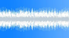 Solo Acoustic (Seamless Loop 2) Stock Music