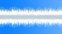 Solo Acoustic (Seamless Loop 3)Stock Music