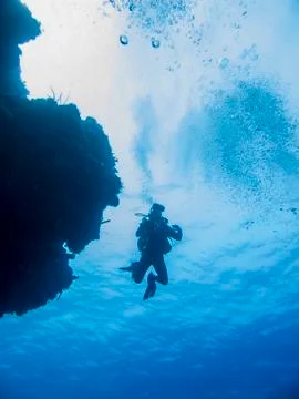 Solo Diver Stockfoto's