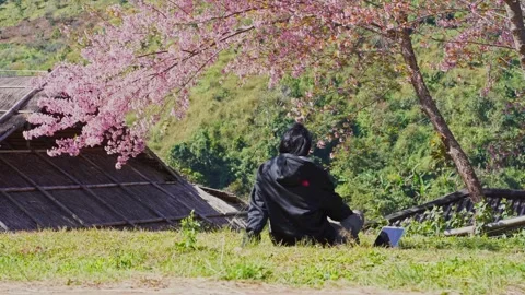 Solo freelancer man use tablet and work under pink cherry blossom tree Stock Footage 264744655