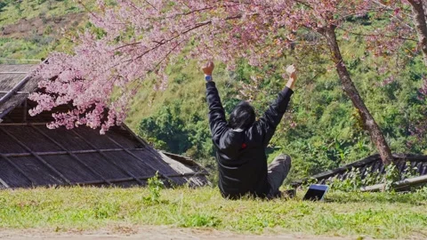 Solo freelancer man use tablet and work under pink cherry blossom tree Stock Footage 264744691