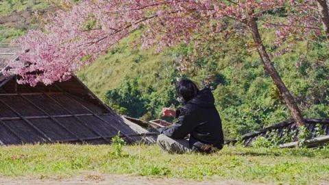Solo freelancer man use tablet and work under pink cherry blossom tree Stock Footage 264744695