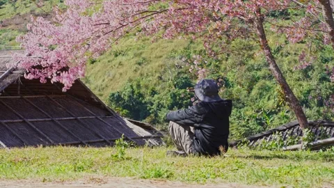 Solo freelancer man use tablet and work under pink cherry blossom tree Stock Footage 264747953