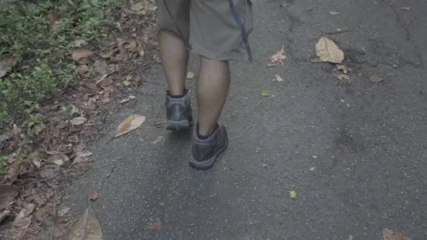 Solo Hiker on the Trail Stock Footage 157638951