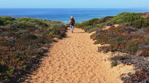 Solo hiker walking sandy path towards ocean Fishermens Trail Portugal Stock Footage 319670822