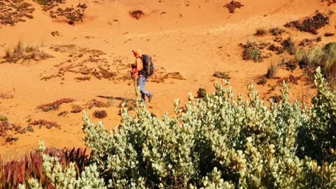Solo Hiker Walking Through Wild Dune Landscape Portugal Stock Footage 319327801