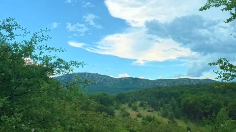 Solo hiker walks through dense green forest. Kozji Kamen area, Serbia 스톡 동영상 341876421