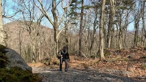 Solo Hiking Adventure: Man with Backpack and Poles Trekking on Trail 4K Stock Footage 333475775