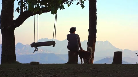 Solo man camping relax play with dog sit on wooden swing see layer of mountain Stock Footage 270344707