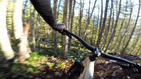Solo Man Mountain Biking Through Forest At Sunset Video stock 114526575