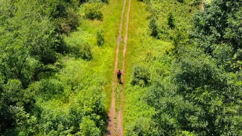 Solo man walks down tire tracks in the woods Stock Footage 115077549