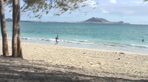 Solo runner on beach, Hawaii Video stock 52452951