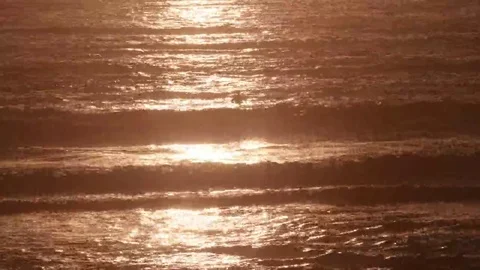 Solo Surfer at sunset Vidéo 69186997