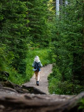 Solo traveling young female hiking in the woods, blonde female exploring the for Stock Photos