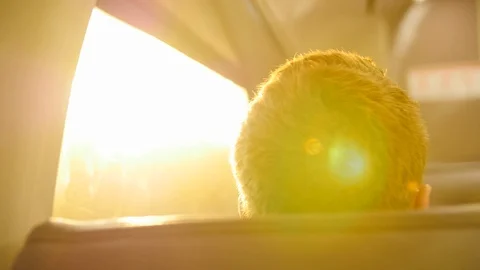 Solo traveller sits facing the window Stock Footage 128762403