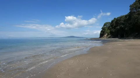Solo walker strolls on coastal walking track Stock Footage 221450244