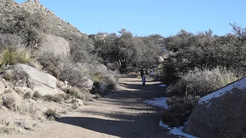 Solo Winter Hiker Vídeo Stock 103546242