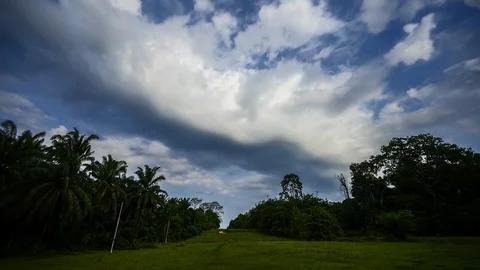 Solok ProRes Stock Footage 128103990