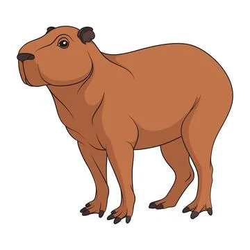 Сolor illustration with capybara Stock Illustration