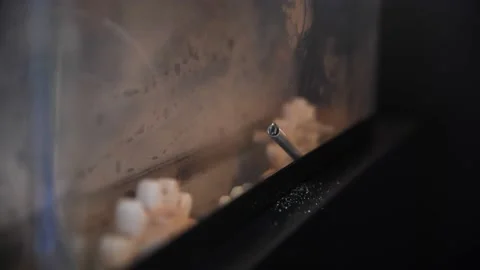 Soluble cacao hopper in coffee machine Stock Footage 237462448