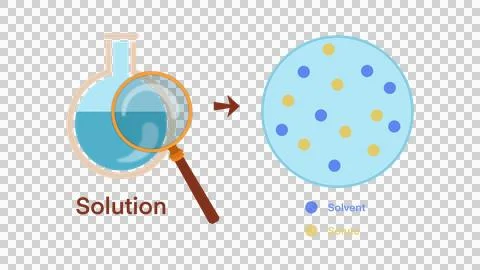 Solution is made up of particles, solutes, and a solvent Stock Illustration